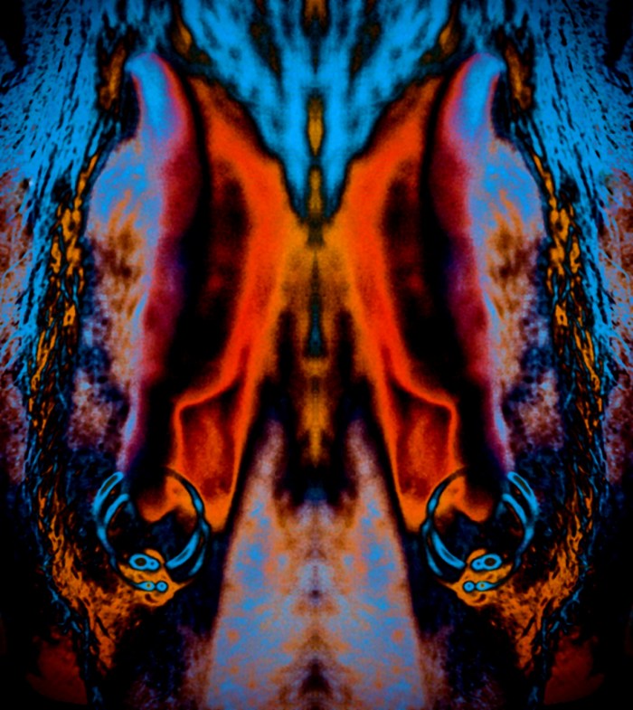 21st Century Schizoid Man