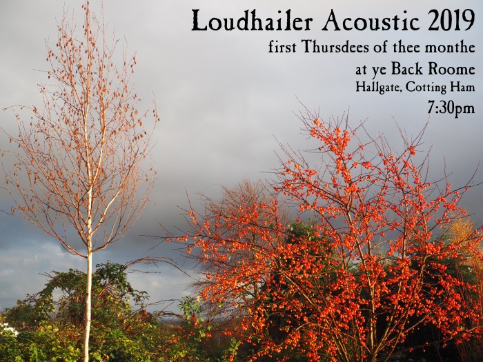 Loudhailer Acoustic