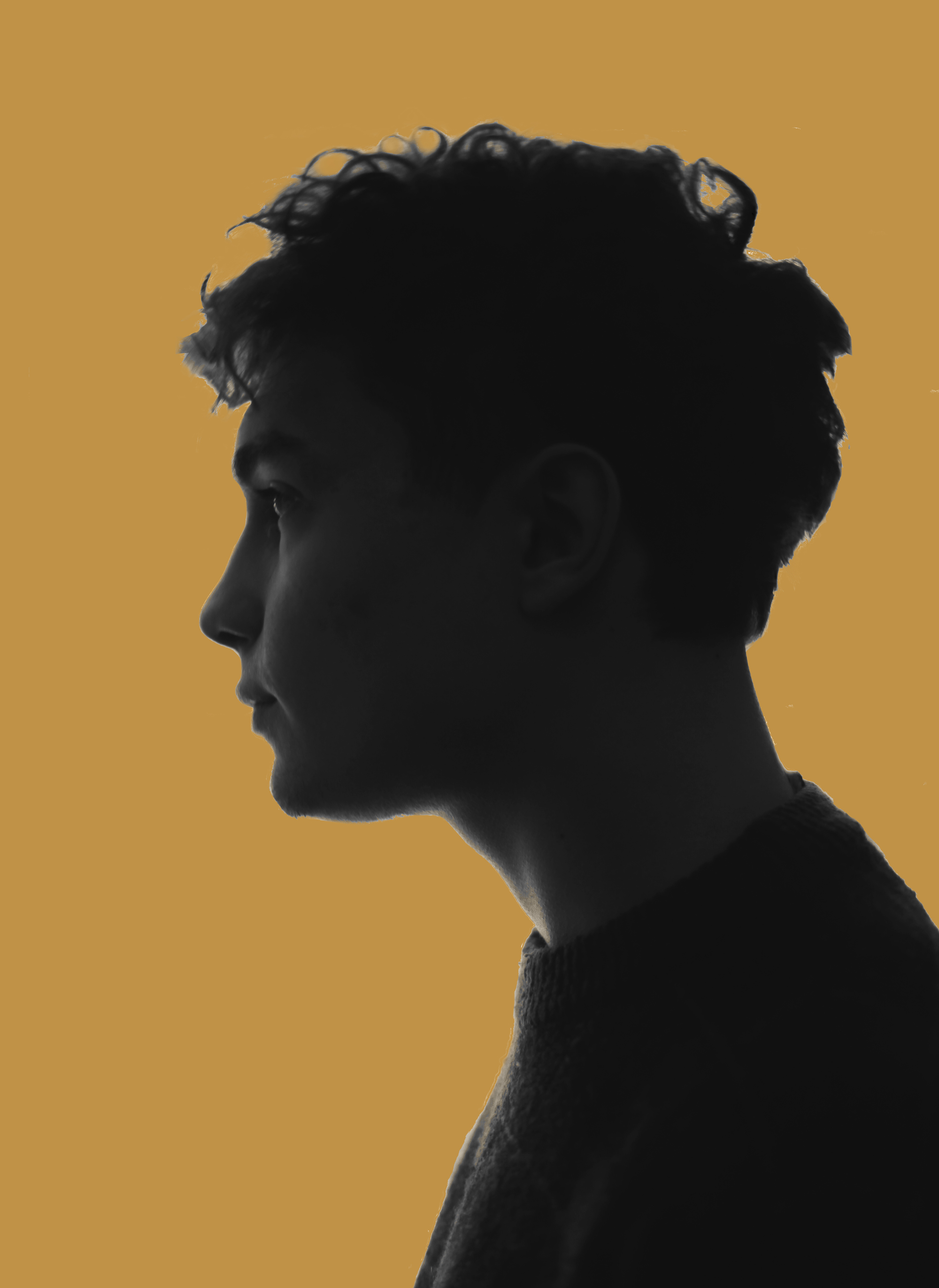 Photographic Room Dust small